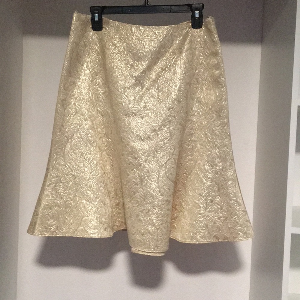 Beautiful & shiny midi a line skirt